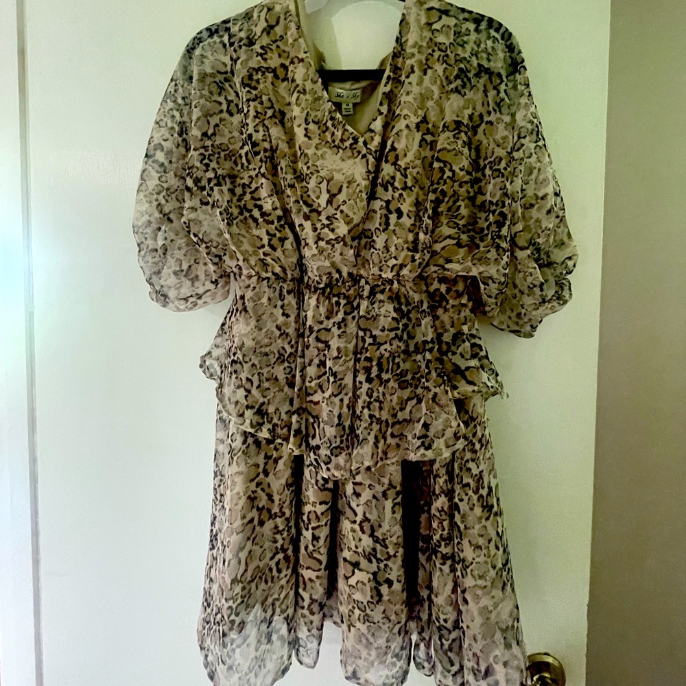 she & sky leopard dress